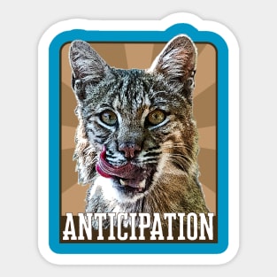 Anticipation- bobcat Sticker